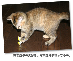 キティ画像